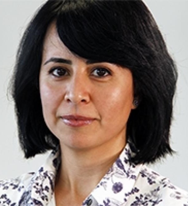 Elahe Kani-Zabihi