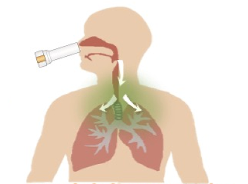 Inhaled Bispecific Antibody
