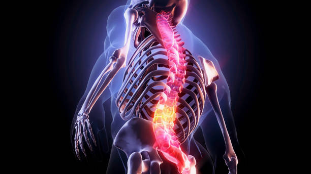 Spinal Mechanics